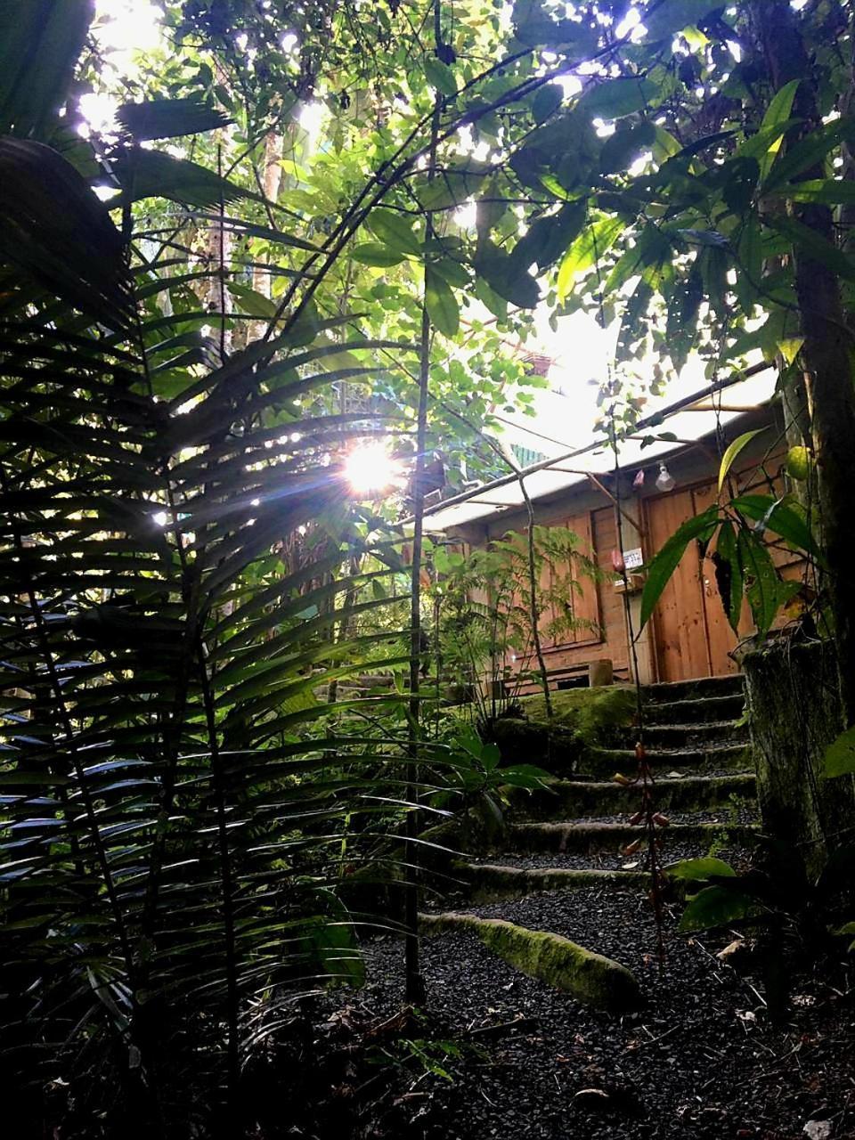 EcoLodge Kasaguadua Salento Exterior foto